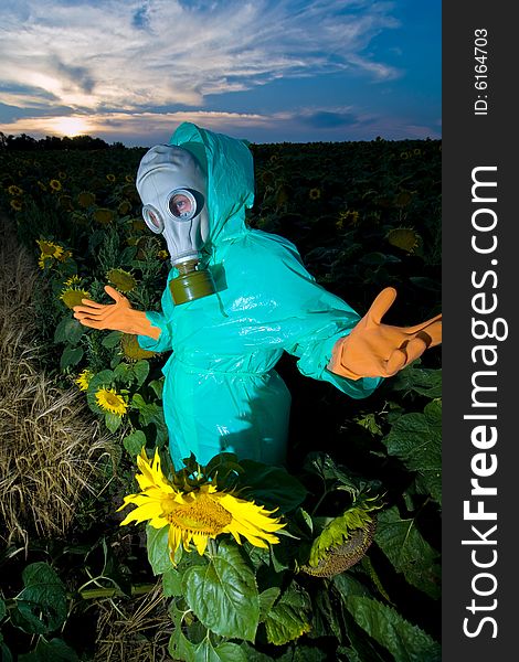 An image of a man in gas mask on sunflower field. An image of a man in gas mask on sunflower field