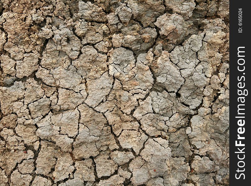 Dry and cracked soil surface. Dry and cracked soil surface.