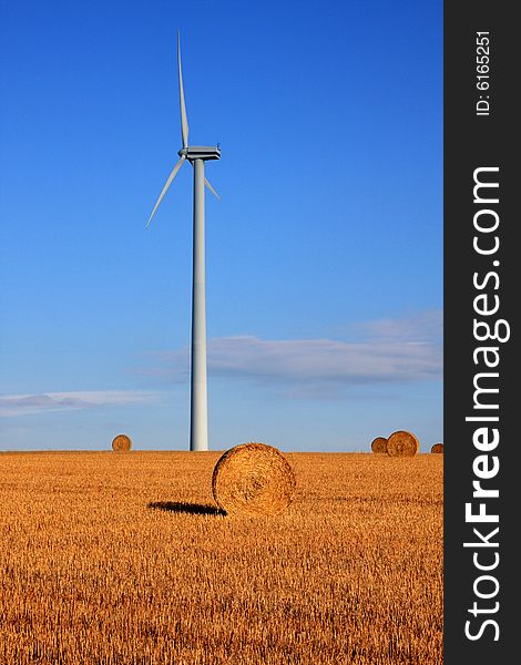 Photo of a windmill in a field in front of a blue sky.