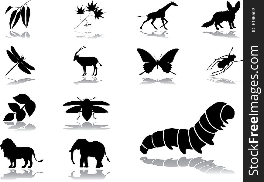 Set icons - 45. Nature. Set of 13 vector icons for web