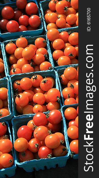 Boxes of fresh cherry tomatoes, just picked