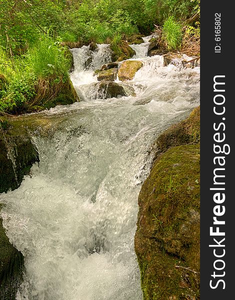 Mountain river in the forest