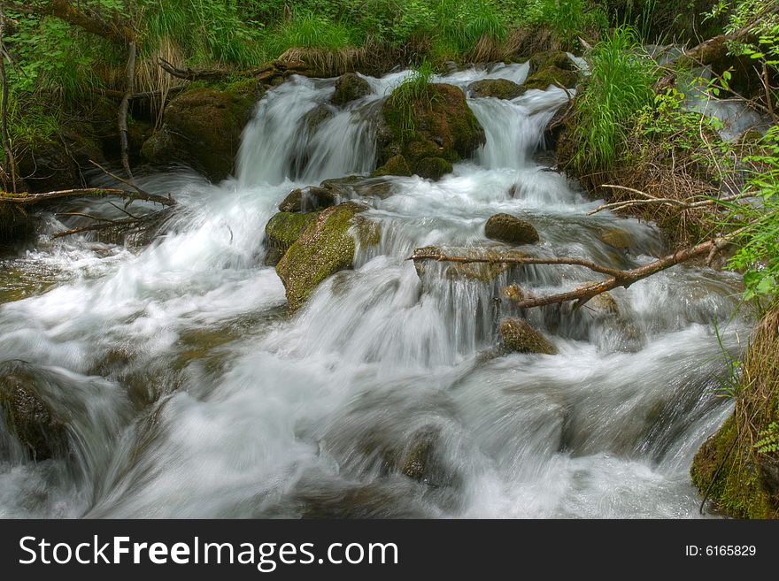 Mountain river in the forest