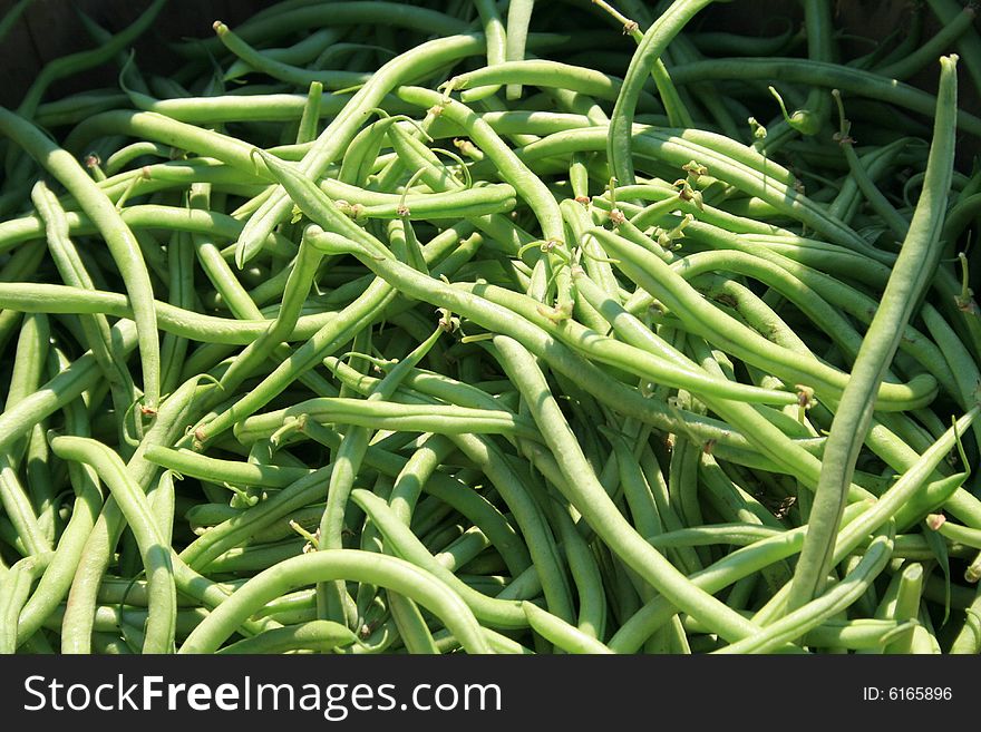 Freshly picked green beans, at a farmers market. Freshly picked green beans, at a farmers market