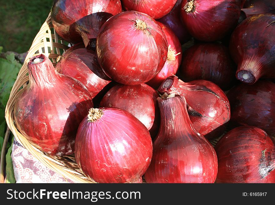 A basket of freshly harvested red onions, at the local farmers  market