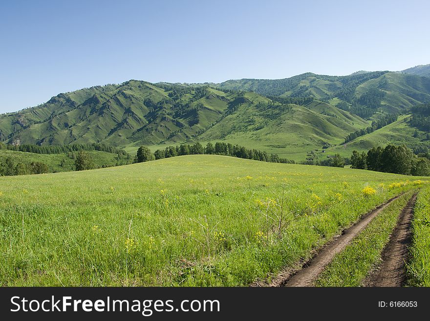 Mountains with green forest on blue sky. Mountains with green forest on blue sky