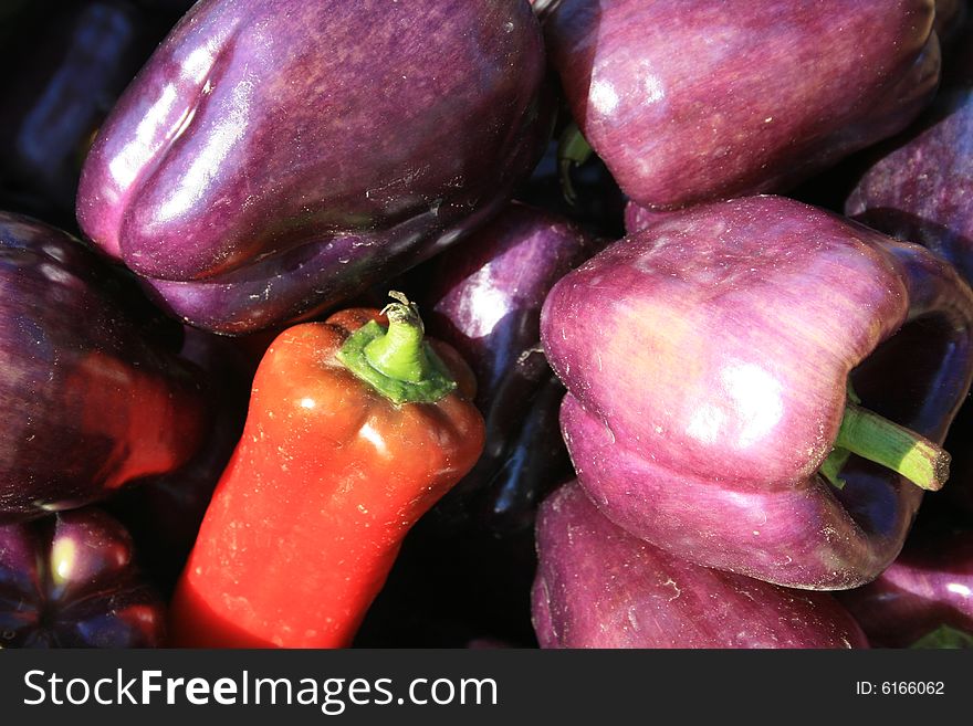 Selection of fresh organic purple and red peppers, at the farmers market