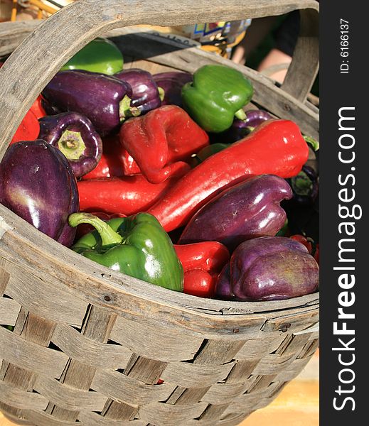 Displayed in a wood basket, a mix of purple, green and red fresh peppers at the farmers' market. Displayed in a wood basket, a mix of purple, green and red fresh peppers at the farmers' market