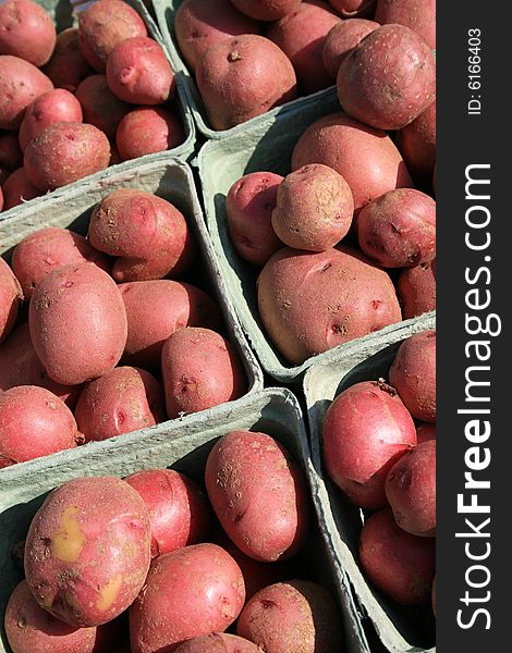 Fresh young red potatoes, offered at a farmers market