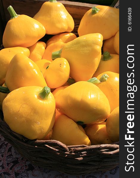 Yellow squash in a basket, freshly harvested, at the local farmers market