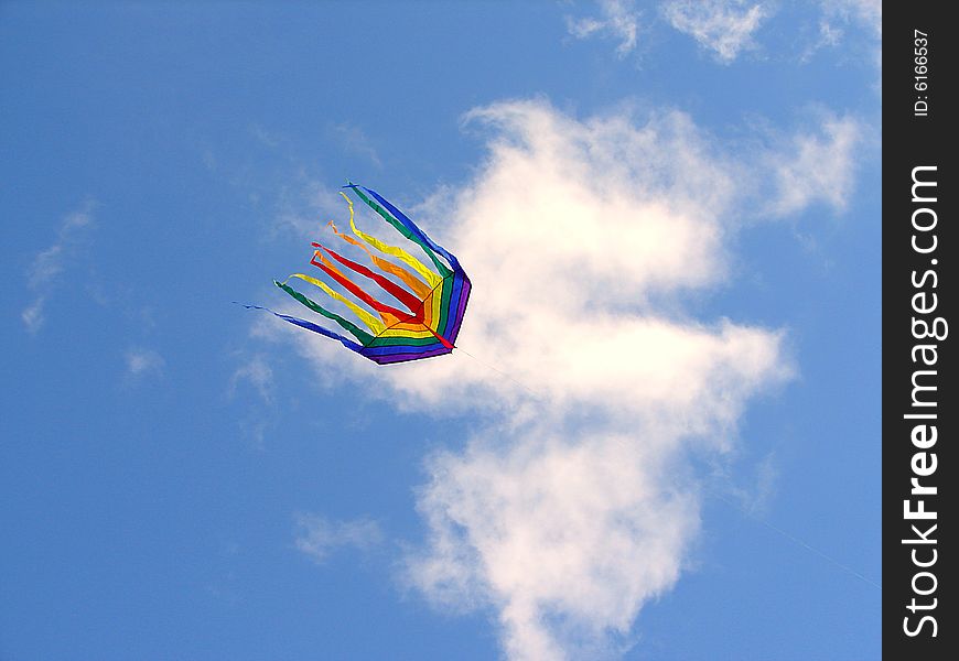 The rainbow kite flies in the blue sky