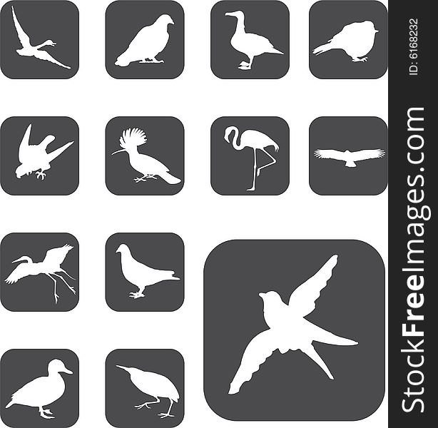 Set  buttons - 52_F. Birds. Set of 13 round vector buttons for web. Set  buttons - 52_F. Birds. Set of 13 round vector buttons for web