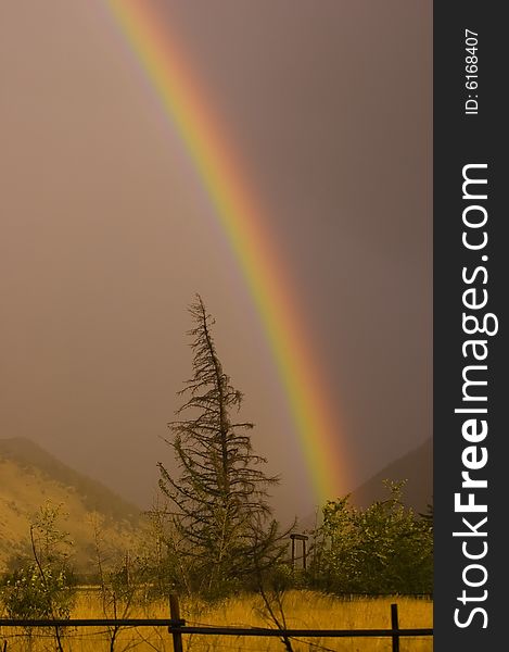 Beautiful rainbow appears after heavy rain.