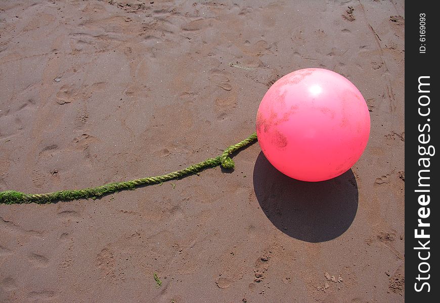 Pink Buoy On Sand