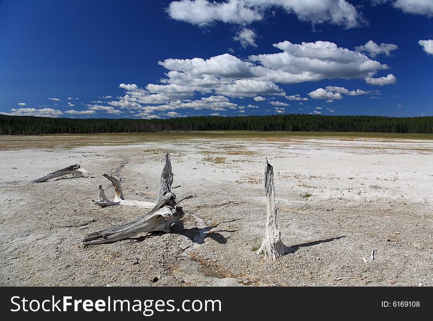 The Scenery Of Lower Geyser Basin In Yellowstone