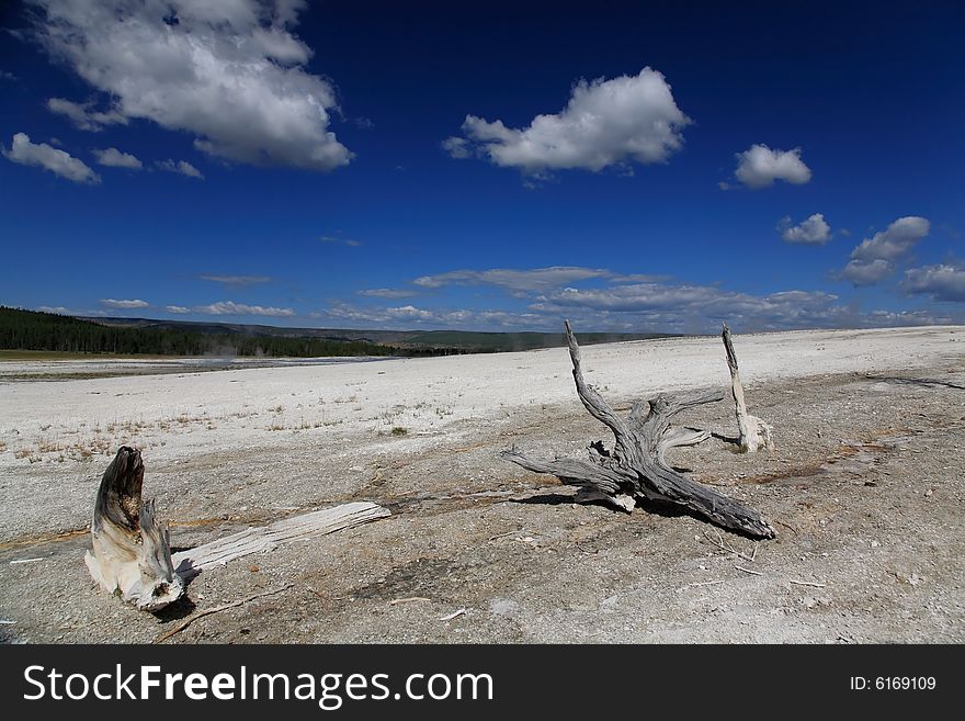 The scenery of Lower Geyser Basin in Yellowstone