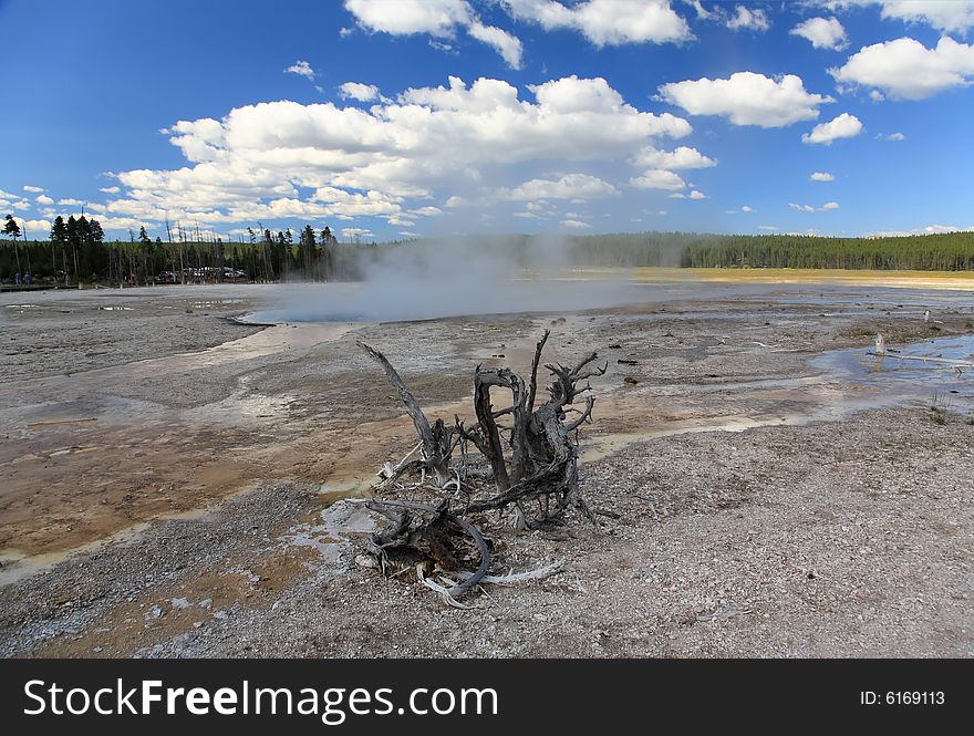 The Scenery Of Lower Geyser Basin In Yellowstone