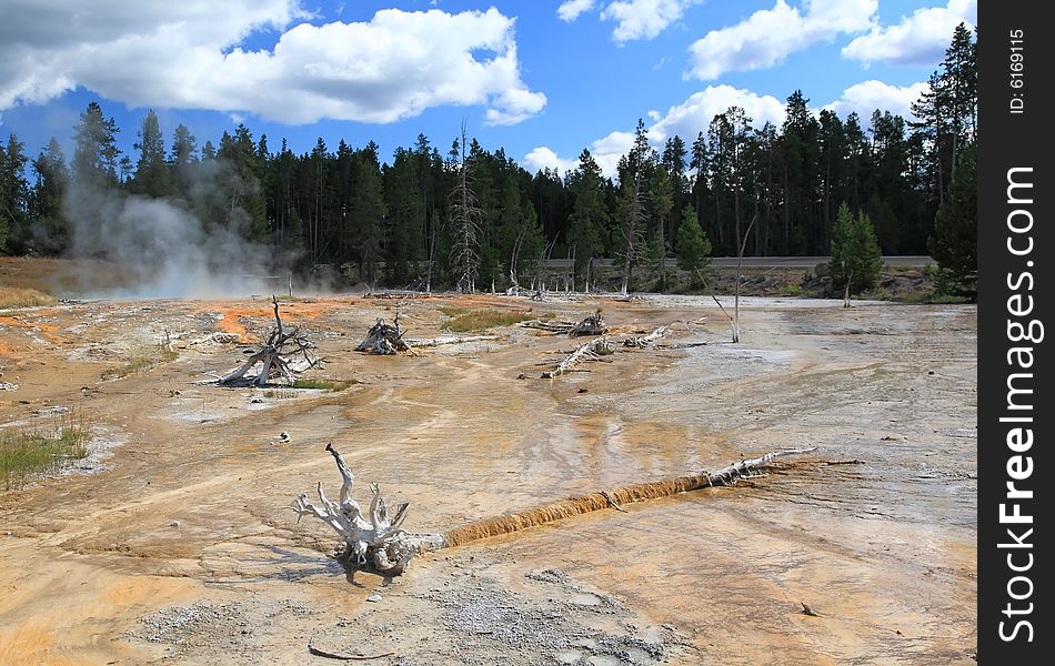 The Scenery Of Lower Geyser Basin In Yellowstone