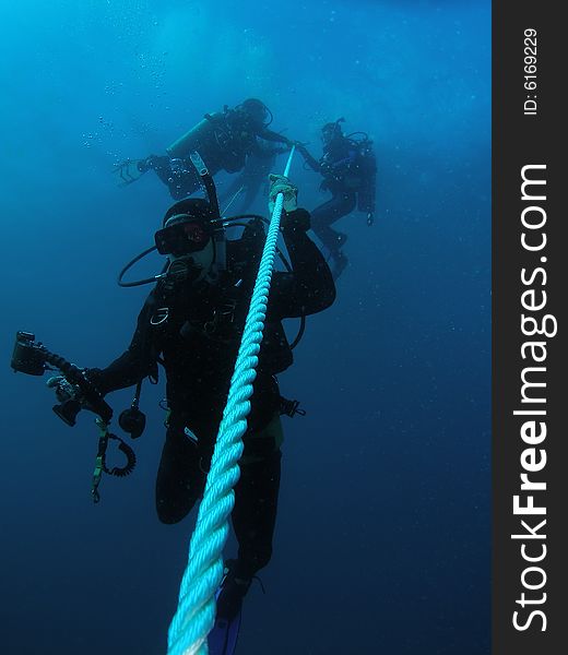 This shot was taken at the Aqua zoo in Pompano Beach, Florida at our 15 ft safety stop that is required when you were at 70 ft. This shot was taken at the Aqua zoo in Pompano Beach, Florida at our 15 ft safety stop that is required when you were at 70 ft.