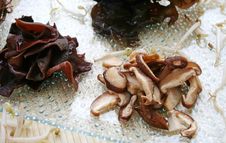 Chinese Mushrooms Royalty Free Stock Photos Chinese Mushrooms Royalty Free Stock Photos