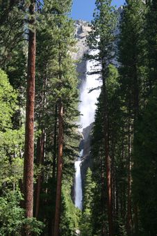 Yosemite Falls Forest Stock Photo Yosemite Falls Forest Stock Photo