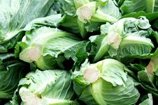 Cabbage Stock Images Cabbage Stock Images