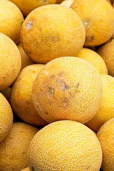 Melons Royalty Free Stock Photos Melons Royalty Free Stock Photos