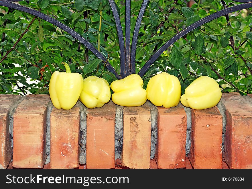 Yellow ripe juicy paprika over brick fence and green leaves. Yellow ripe juicy paprika over brick fence and green leaves