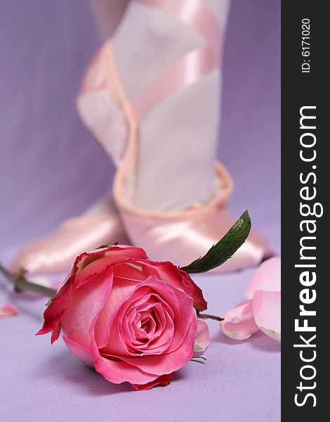 Satin Ballet shoe with a pink rose.  FOCUS ON ROSE