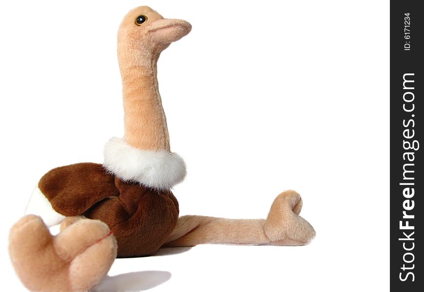 Toy Ostrich