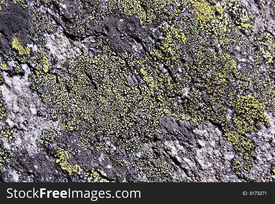 Stone covered with green and gray lichens. Stone covered with green and gray lichens