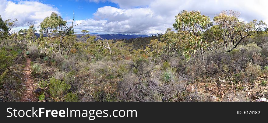 Australian Bush Free Stock Images Photos 6174182 Stockfreeimages Com