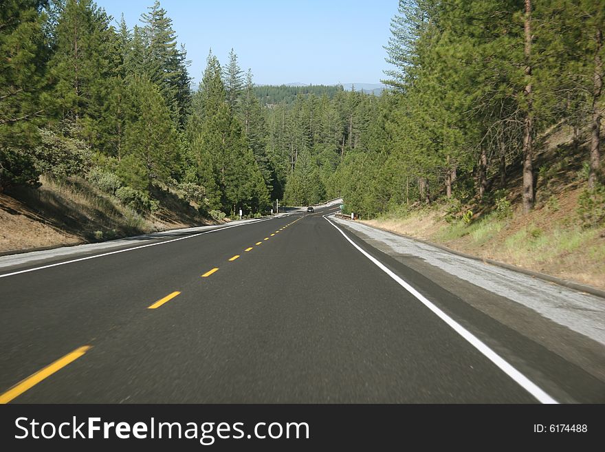 Road surrounded with woodland. California. USA. Road surrounded with woodland. California. USA