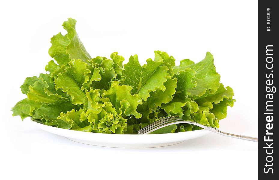 Lettuce on a white plate and a fork