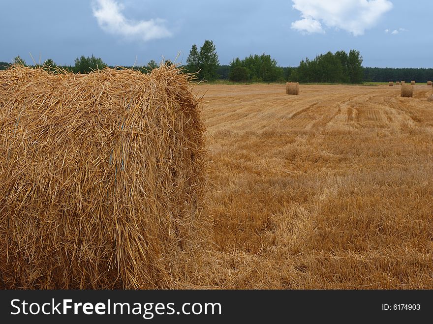 Hay bales lanshaft in overcast day. Hay bales lanshaft in overcast day