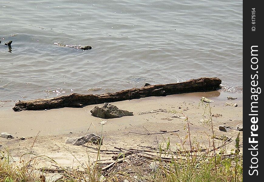 A log washed up on the shore of the Ohio River. A log washed up on the shore of the Ohio River.