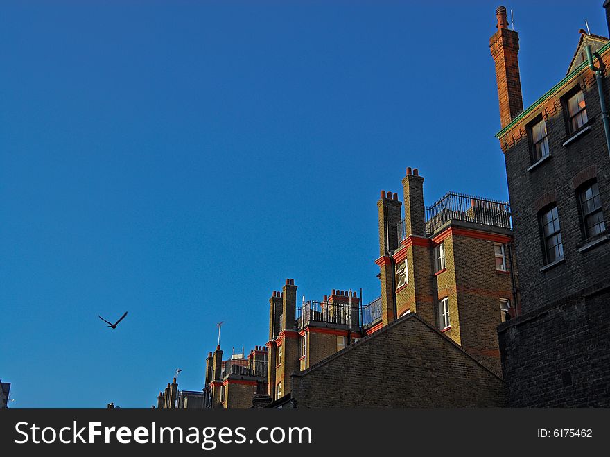 Traditional buildings in London at sunset, with flying bird in the blue sky. Traditional buildings in London at sunset, with flying bird in the blue sky