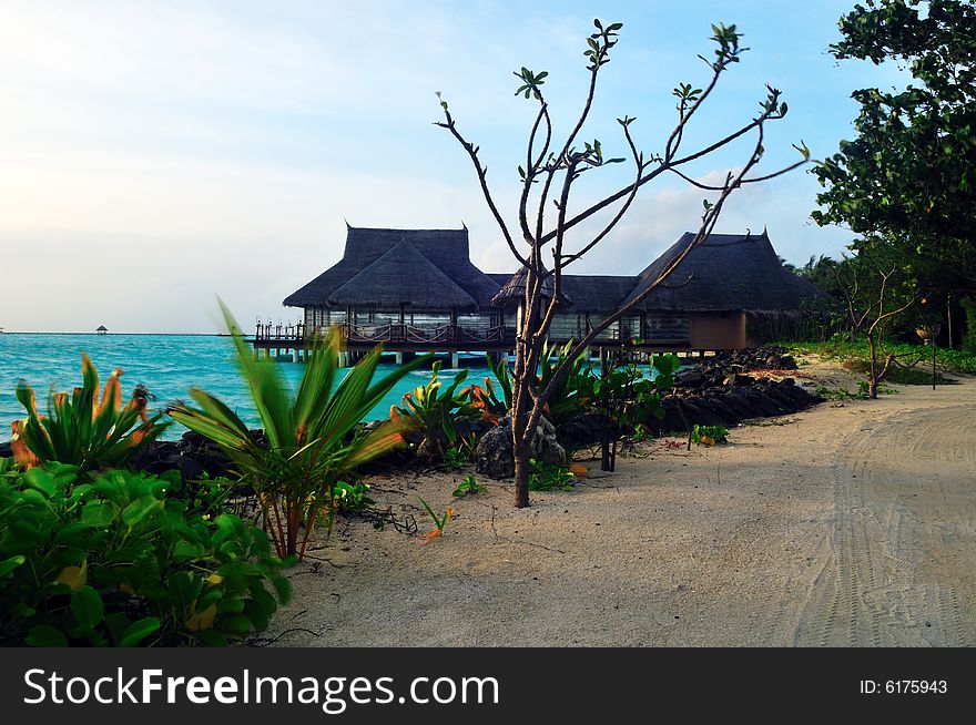 View of sunset on a tropical beach in Maldives