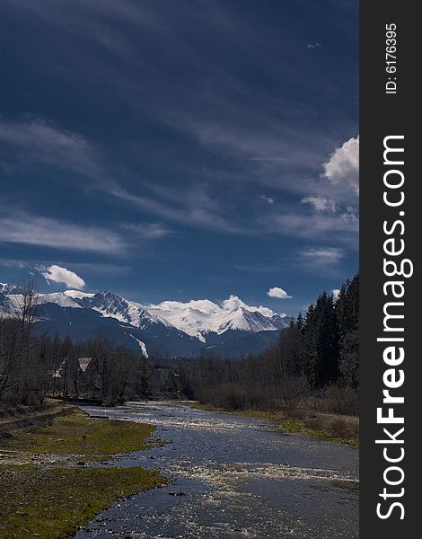 Small brook in the mountains in spring