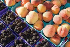 Peaches And Blackberries - Horizontal Royalty Free Stock Photography Peaches And Blackberries - Horizontal Royalty Free Stock Photography