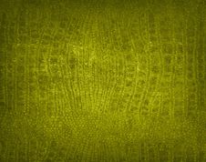 Free Rough Grunge Background Stock Photography - 6184482