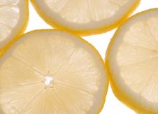 Lemons Cross Section Stock Photo