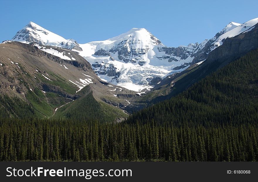 Snow mountain near Columbia Glacier in Rockies Icefield National Park