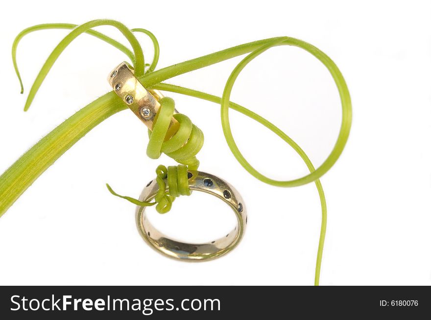 Wedding rings connected with vines