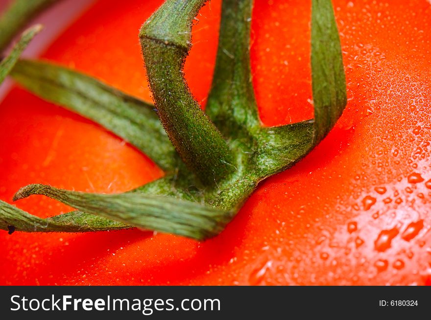 The close-up image of the tomato