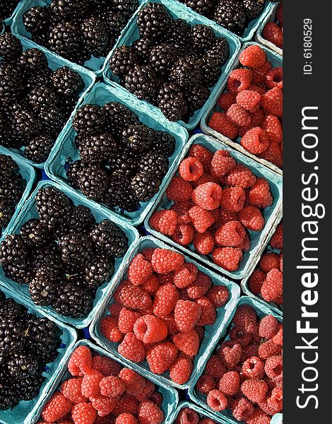 Blackberries And Raspberries - Vertical