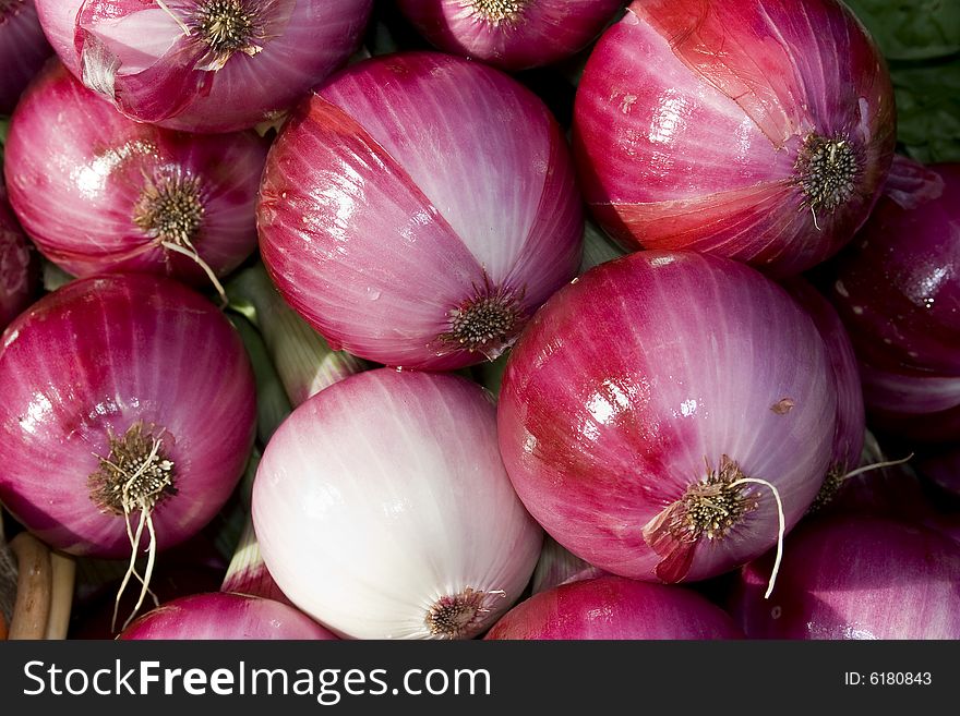Group of red onions. Horizontal. Group of red onions. Horizontal