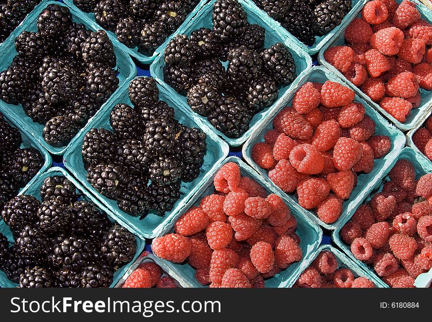 Blackberries and Raspberries in bunches. Horizontally framed photo. Blackberries and Raspberries in bunches. Horizontally framed photo.