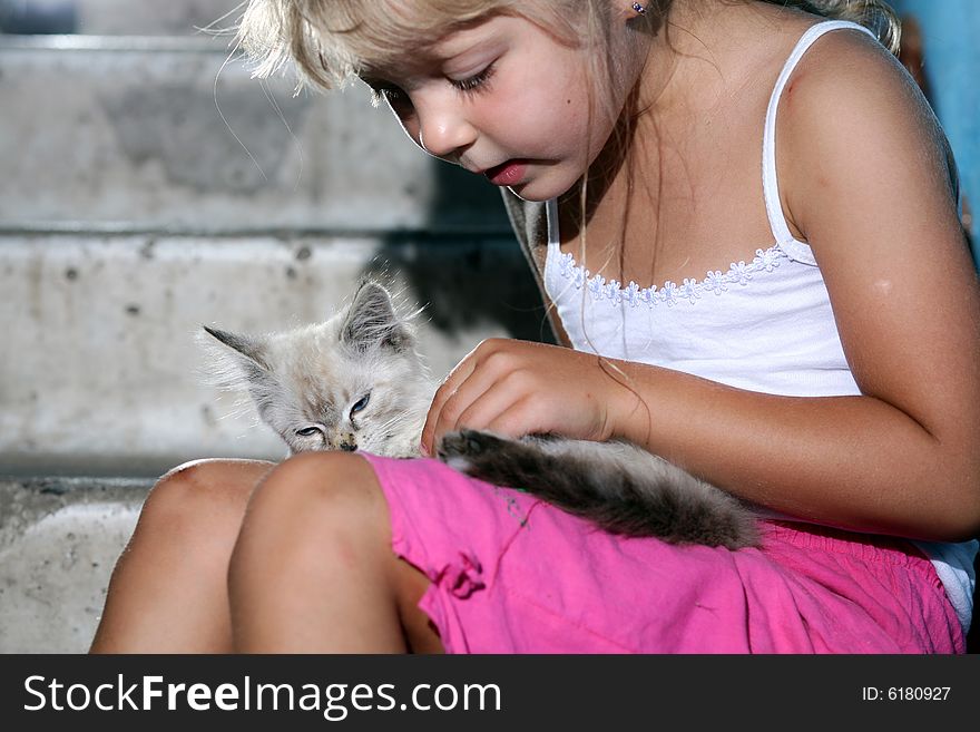 Friends. Nice girl with a kitten in her arms. Friends. Nice girl with a kitten in her arms