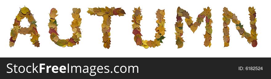 Word autumn made from yellow leaves